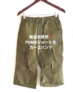 Item thumbnail for item a09895dd-b907-4322-b8af-5df6a14b42a7