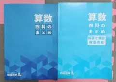 Item thumbnail for item 60142ee2-7f65-4bfb-8eb1-f1bce022b4ee