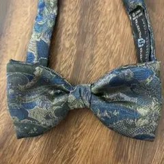 Item thumbnail for item 5479d34b-8ca5-439c-8898-a69b37e1a815