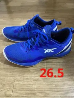 asics グライドノヴァ ff2 限定色 青色 GLIDENOVA ASICS アシックス GLIDE NOVA FF 2 （限定イリュージョンブルー