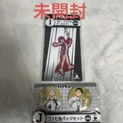 ハイキュー 一番くじ I賞 J賞 2点セット