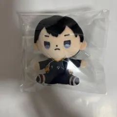 ぬいぐるみキャラクター ハイキュー 影山飛雄