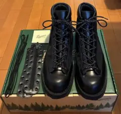 DANNER ダナー FIELD R Black GORE-TEX US11 - メルカリ