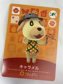 天海様 リクエスト 2点 まとめ商品