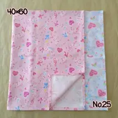 No.25 ランチョンマット2枚セット 40×60