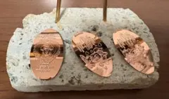 ミニーファンダーランド　パルミニ　スーベニアメダル