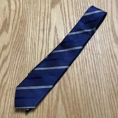 Item thumbnail for item a933593f-6bf1-44b7-bd4b-8a49b97dd35b