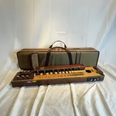 中音楽 冴E 大正琴 Zen-On ハードケース付 - メルカリ