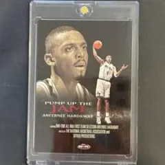 NBA アンファニー・ハーダウェイ 名プレート レアカード - メルカリ