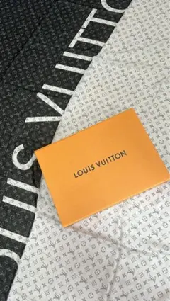 ストール　louis vuitton