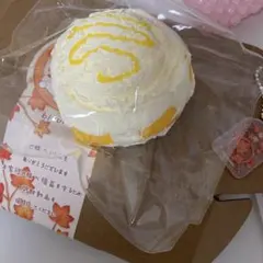 bloomingjapanブルーミング　マンゴーアイスクリームボウル　スクイーズ