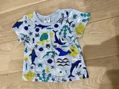 夏物TシャツBIT 男の子80のサムネイル