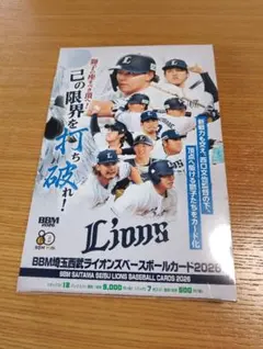 埼玉西武ライオンズファンブック2006年度版 埼玉西武ライオンズファンブック2006年度版 - メルカリ