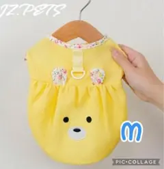 犬服M 黄色　バルーン ワンピース　春夏服　涼しい生地