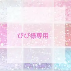 ぴぴ様専用ページ