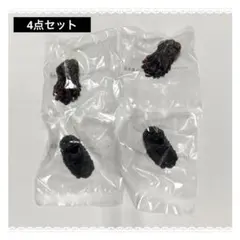 Item thumbnail for item b1a97728-eb52-4d66-bf72-8992b18dca4f