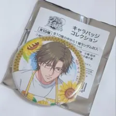 新テニスの王子様 サマバレ 缶バッジ 手塚国光