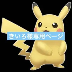 きいろ様リクエストまとめ買い商品