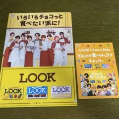 SnowMan ファイル フライヤー ステッカーセット