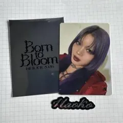 HANA Born to Bloom トレカ NAOKO ナオコ②