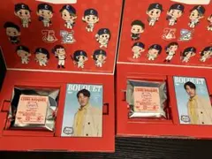 西武ライオンズ 2025 LIONS BOUQUET 2セット 缶バッジ未開封