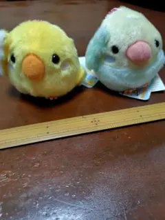 2026年最新】ことり隊 セキセイインコの人気アイテム - メルカリ