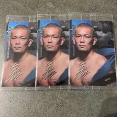 RIZINウエハース2025皇治3枚セット