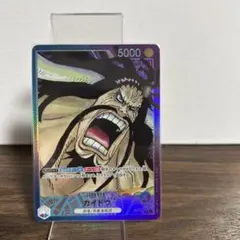 2026年最新】カイドウ パラレル リーダーの人気アイテム - メルカリ