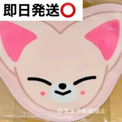 アイエン　straykids スキズ SKZOO ラグマット ミニカーペット