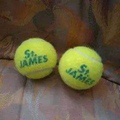 ダンロップ 硬式テニスボール セントジェームス 2球