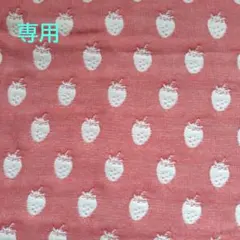 【専用】