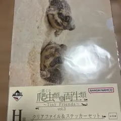 一番くじ 爬虫類・両生類 クリアファイル＆ステッカー