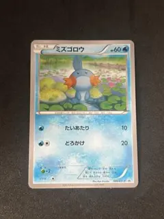 ミズゴロウ 109/xy-p 未開封 2026年最新】ポケモンカード ミズゴロウ 109/xy-pの人気アイテム