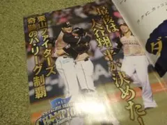 大谷翔平 - 北海道日本ハムファイターズ (スポーツアルバム No. 47