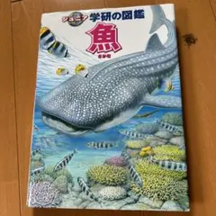 Item thumbnail for item 017ea6ff-448a-4b4f-8dd0-a8c5b0544689