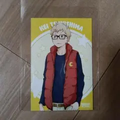 ハイキュー　ヨーショー　アニメイト　特典　月島蛍　イラストカード　月島