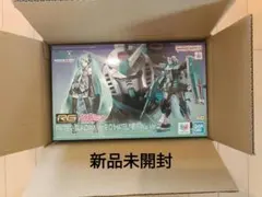 限定・未組立】RG ガンダム Ver.2.0 ＆ カプセルアクション ザク