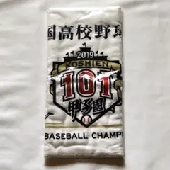 坂下翔馬記念タオル 第101回全国高等学校野球選手権大会 2025年最新】101回全国高校野球選手権大会記念タオルの人気