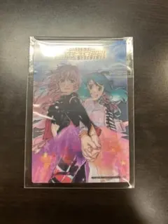 柄ラー様 リクエスト 2点 まとめ商品