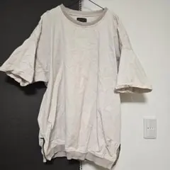 ZARA メンズ ピンク Tシャツ ロンT
