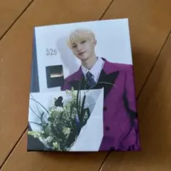 SEVENTEEN SPILL THE FEELS CARAT Ver. DK