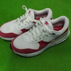 Item thumbnail for item e74ef79c-24c2-4954-8eb5-fa1dcc52b901