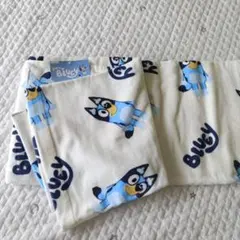 Item thumbnail for item 4645f3ce-4c5b-47c1-a084-d9a9ce3a0775