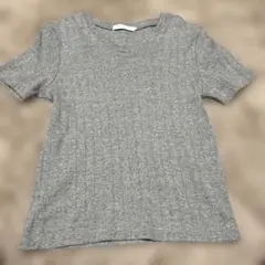 AMERICAN HOLIC リブニット 半袖 グレー M