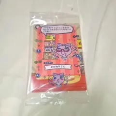 【美品】たまごっちのプチプチおみせっちしり〜ず カード＆フレーム まきこ