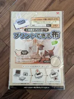 Item thumbnail for item 45163eb9-ac46-480c-af2e-788b4a3172a9