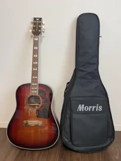 Morris MG-80オール単板 ジャパンビンテージ - メルカリ