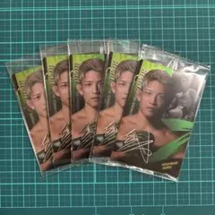 Item thumbnail for item 8163eec3-a5cd-4f06-b5e9-994aeea47d75