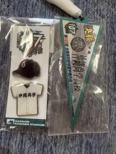 Item thumbnail for item 672ad7de-ffa6-47e6-901b-bdf1c6421548