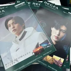 SnowMan目黒蓮　REGZAカタログ　2種　4冊セット　めめ　店舗印無し